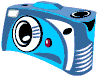 Blue camera